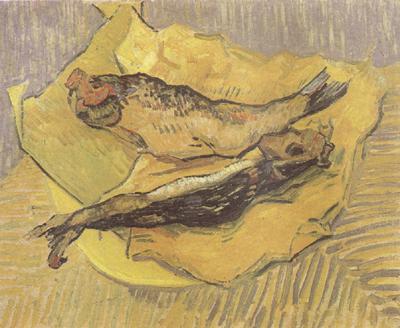Vincent Van Gogh Crab on Its Back (nn04) Germany oil painting art